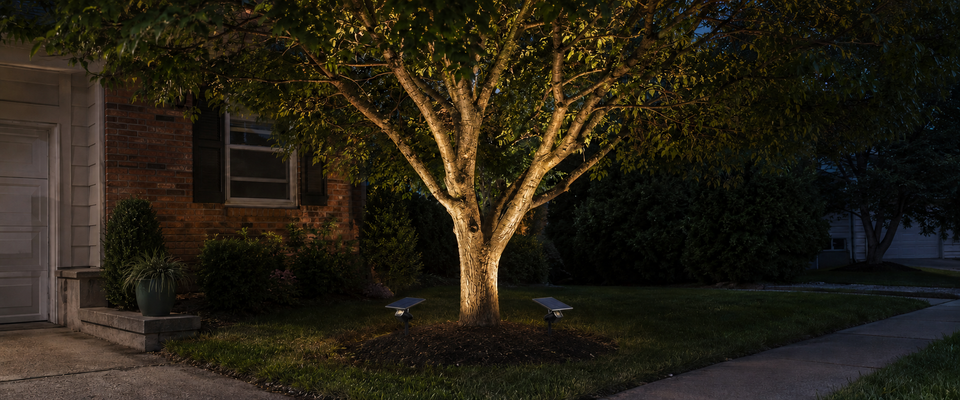Solar spotlights illuminating the trunk and lower canopy of a mature front-yard tree at an American suburban home