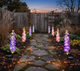Solar delphinium flower lights illuminating a garden pathway with decorative floral accents at night