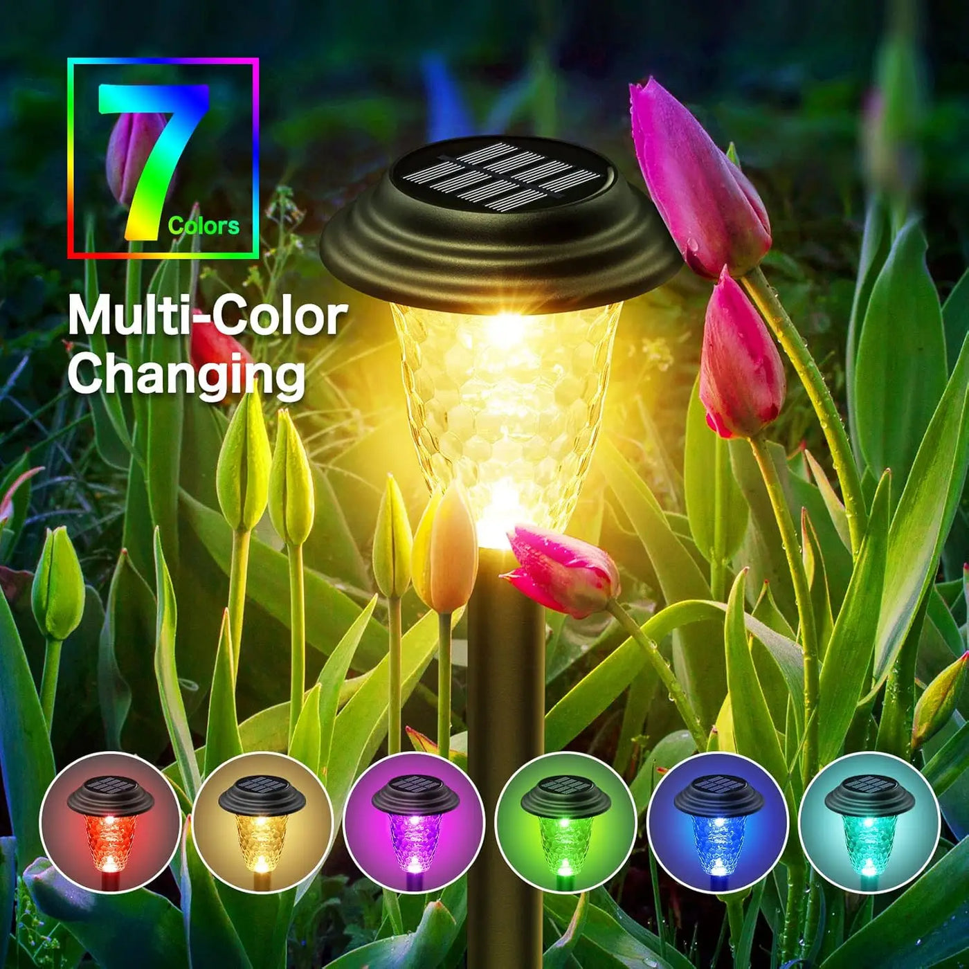 Solar Garden Lights Outdoor Decoration, 7-Color Changing Waterproof Lights with 10-12H Auto On/Off for Yard, Walkway, and Patio | NoxLumin