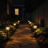 Mini house-shaped solar pathway lights illuminating flagstone side yard walkway