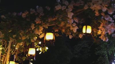 Vintage Solar Lantern Outdoor, Auto On/Off LED Flickering Flame & Stable Light, IPX5 Waterproof, Hanging & Tabletop Decorative Lamp