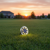 Scene 07 - Suburban Lawn at Golden Hour