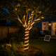 Tira LED COB solar blanco cálido enrollada alrededor de un árbol pequeño del patio y conectada a un panel solar cercano de noche