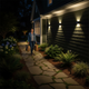 Lampes solaires décoratives le long d’une allée de jardin la nuit