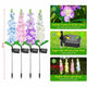 Solar delphinium flower light specification graphic showing 27-inch height, 20 flower heads, solar panel and warm LED light strings