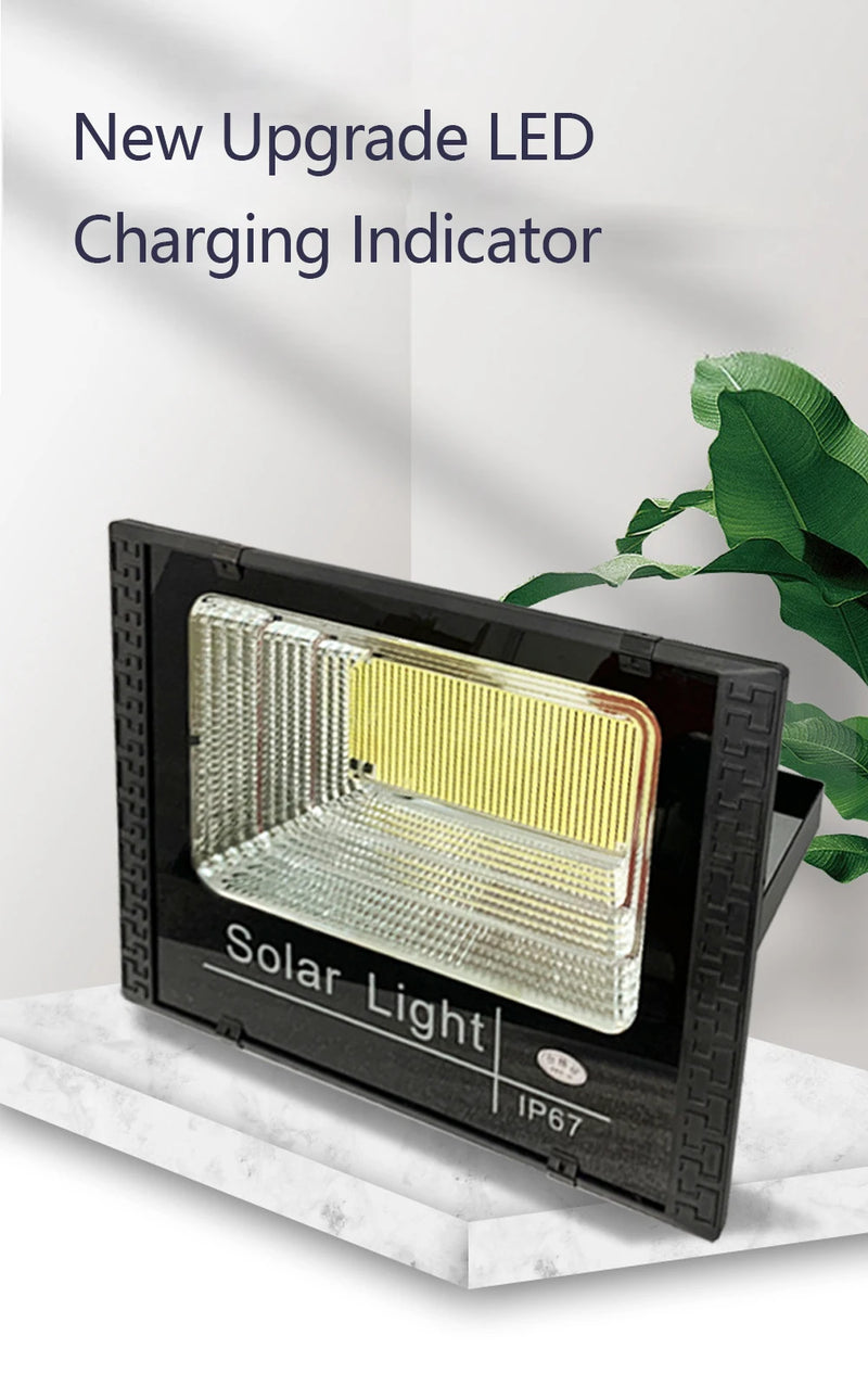 Solar LED spotlight shown as directional outdoor lighting for garden paths, lawns and landscape features