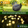 Solar mushroom light diagram showing daytime charging, automatic night lighting, 6–8 hour charge and 6–12 hour runtime