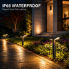Solar pathway light shown illuminated with a warm downward glow for garden borders, lawns and residential walkways