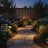 Solar pathway lights along garden path in American backyard