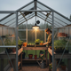 Split solar pendant light providing overhead illumination inside a greenhouse after dark