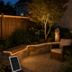 Luces solares de cuerda COB blanco cálido y una luz solar para árbol iluminando de noche un jardín trasero ajardinado estadounidense
