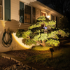 Solar spotlight illuminating evergreen shrub in front yard foundation planting at night