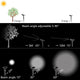 Diagrama de una luz solar para árbol con ángulo de haz ajustable de 5 a 90°, alcance de hasta 10 m y posición correcta para carga solar